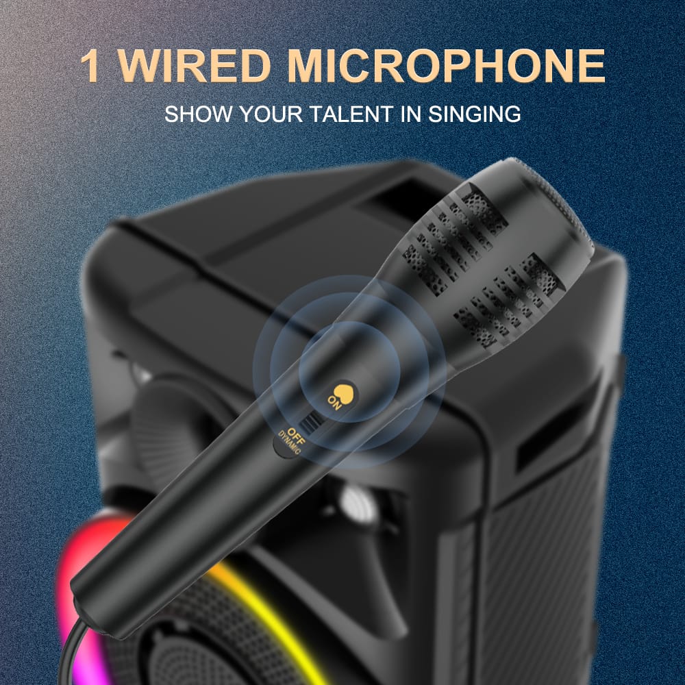 SING-E Karaoke Wireless Bluetooth Speaker ZQS803