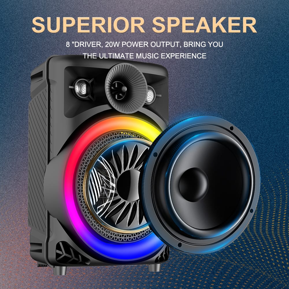 SING-E Karaoke Wireless Bluetooth Speaker ZQS803