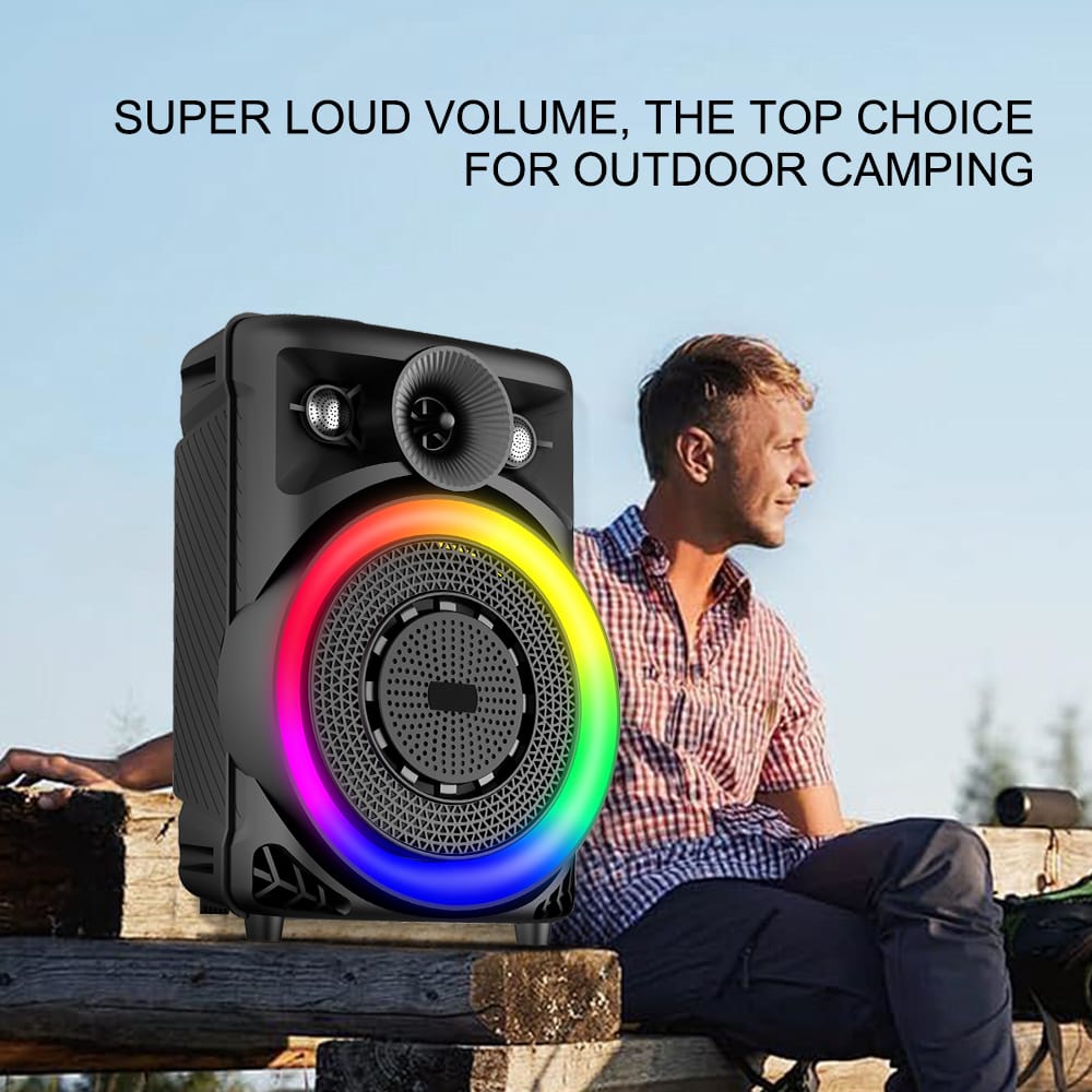 SING-E Karaoke Wireless Bluetooth Speaker ZQS803