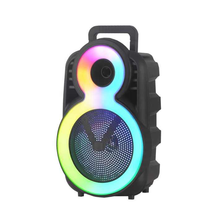 Karoake Portable 8 inch Party Bluetooth Speaker JBR-608