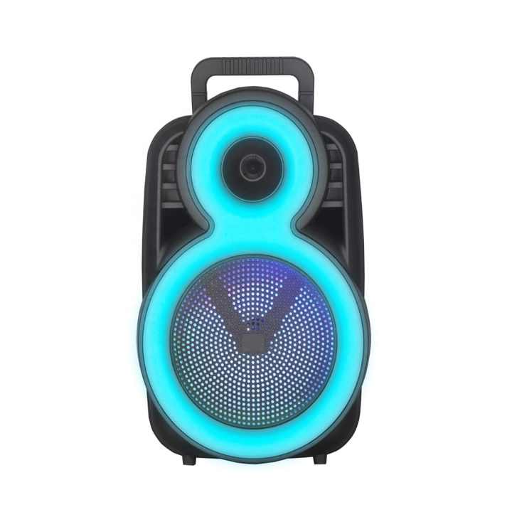 Karoake Portable 8 inch Party Bluetooth Speaker JBR-608