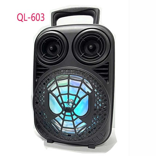 Portable 6.5 inch Outdoor Wireless Bluetooth Speaker QL-602