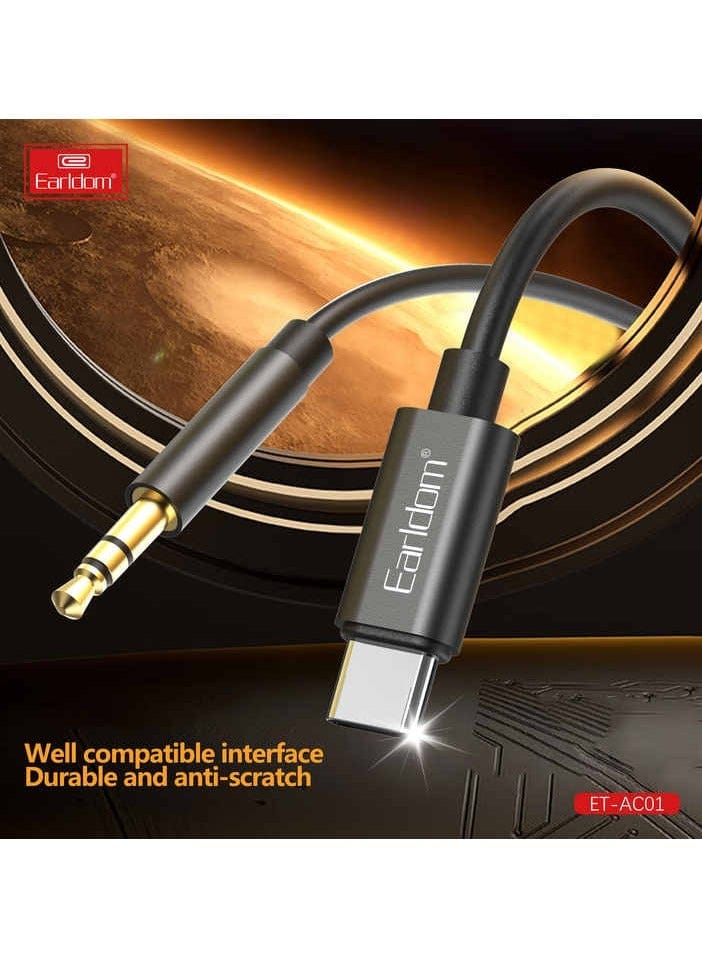 Earldom Type C to Aux Cable AC01