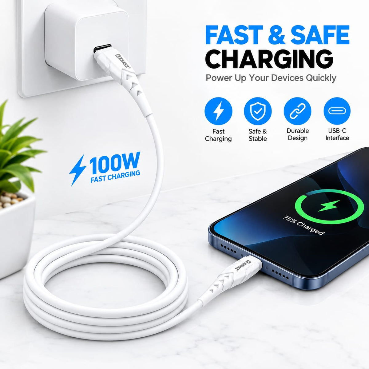 X-HANZ Type-C to Type-C 100W Fast Charging Cable LK24CC